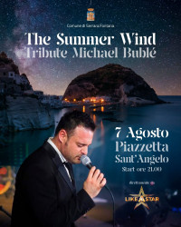 Summer Wind: Tribute Michael Bublè