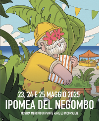 Ipomea del Negombo 2025