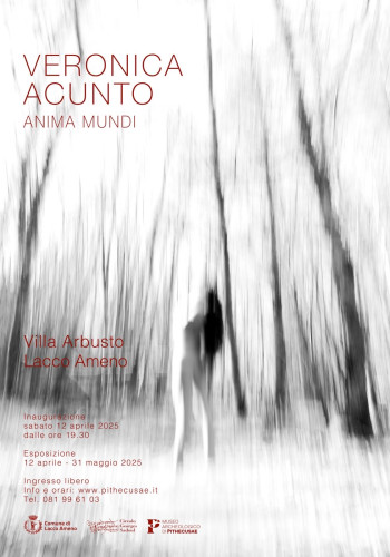 Mostra Veranica Acunto