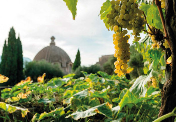 Andar per cantine 2023: percorso Aragonese