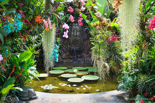 From 9:00 a.m. to 7:00 p.m. visit the La Mortella Gardens, among the ten most beautiful in Italy and Europe